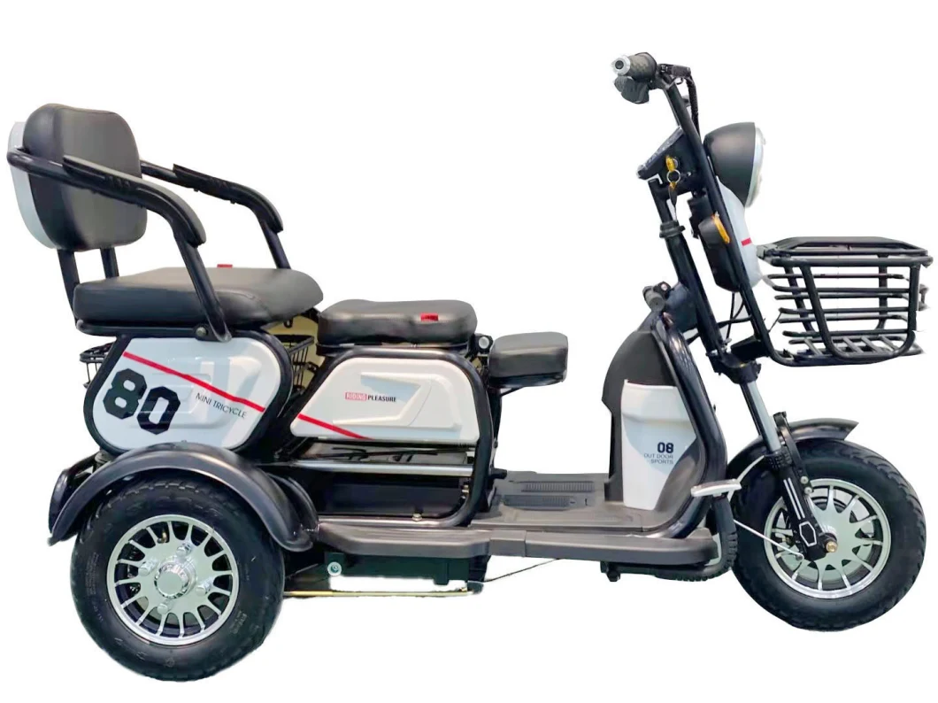 China 3 Wheel Foldable off-Road Electric Trike Disability Scooter Tricycle for Sale