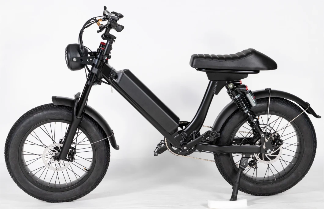 48V 26inch off Road Moutain Electric Bike with Full Suspension E -Bike for Adult