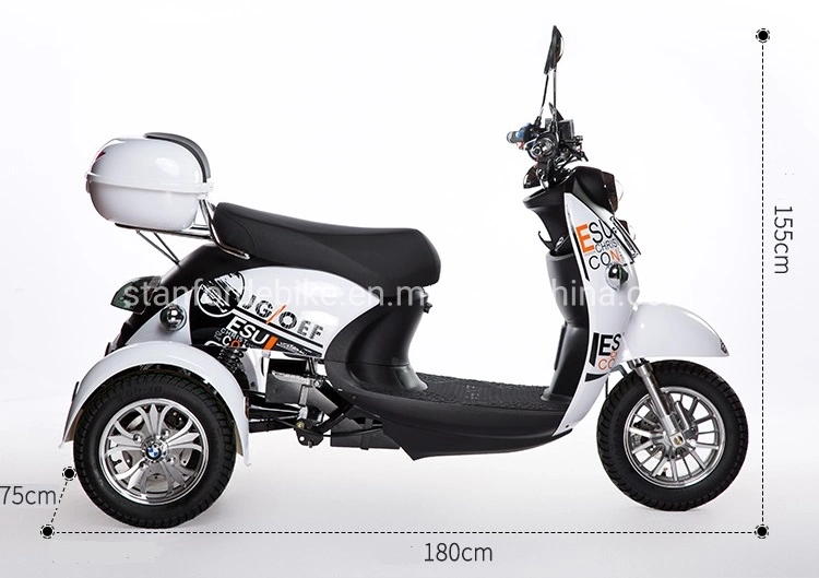 2020 Fat Tire Electric Tricycle Adults and Electric Trike with Lithium Battery