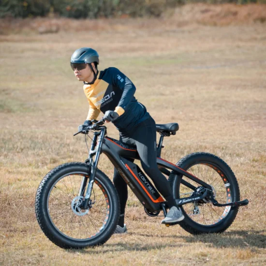 カーボンファイバーフレーム ダートクルーザー スノー電動ファット電動自転車 Bicicleta