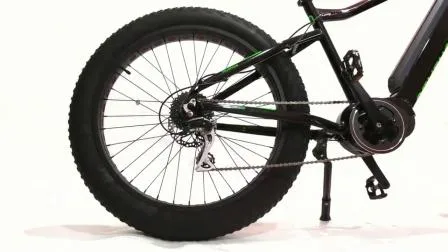 ファットタイヤ スノービーチクルーザー 電動自転車 Bafang MID 電動自転車